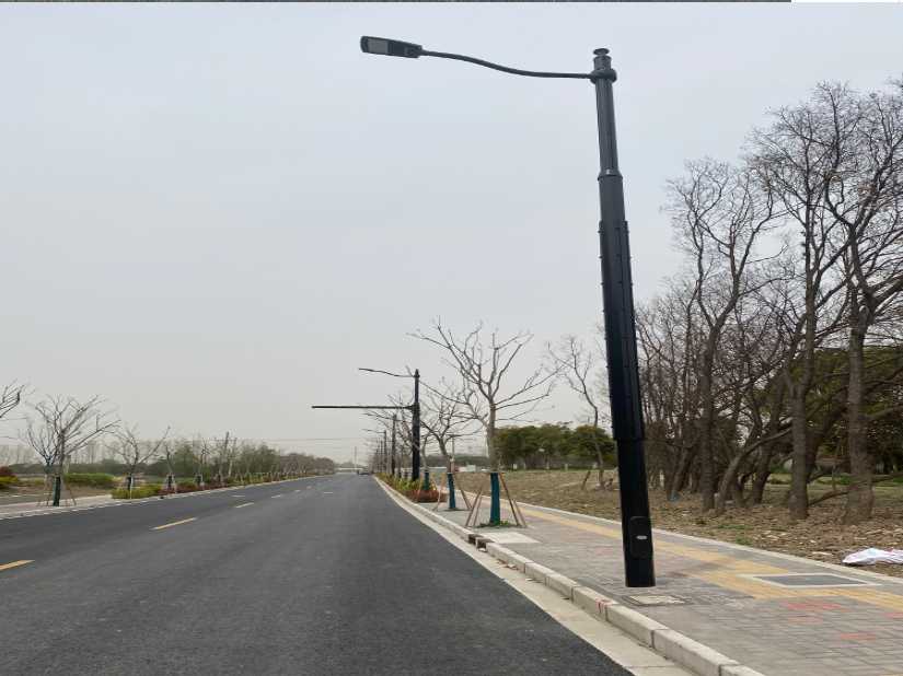 海阳市上海综合杆 太阳能路灯工程